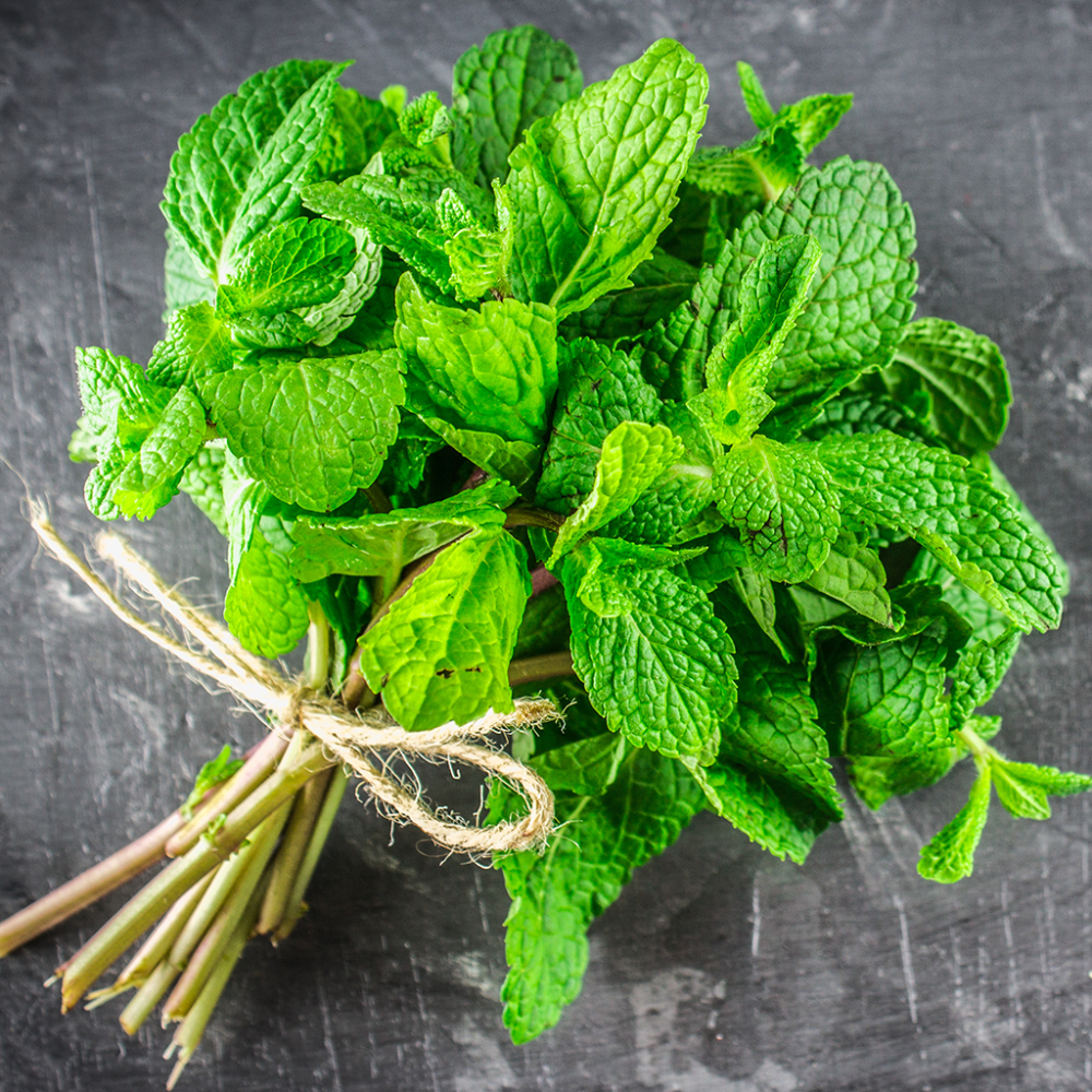 Peppermint leaves / natural mint flavor