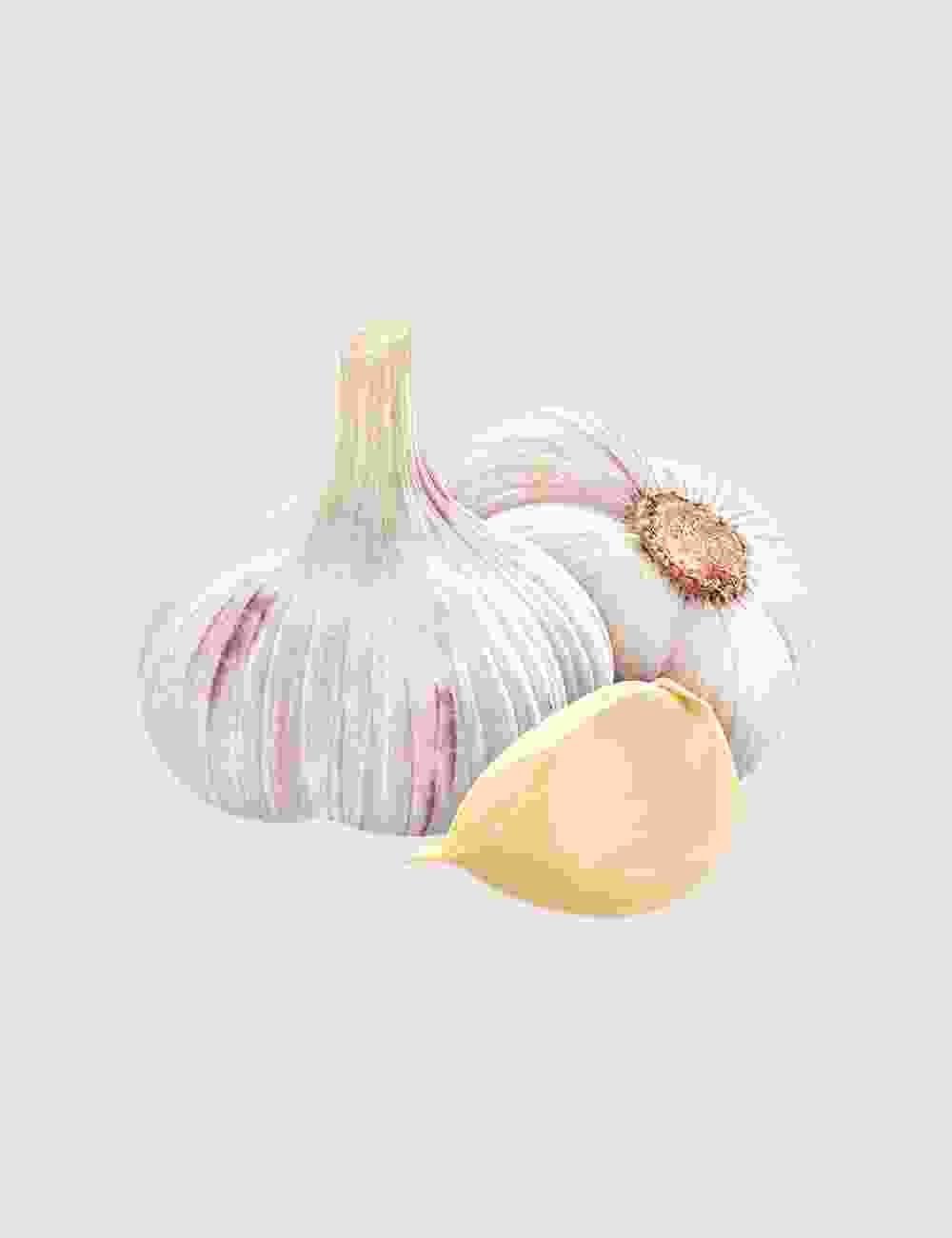 Suggest Product Thumbnail